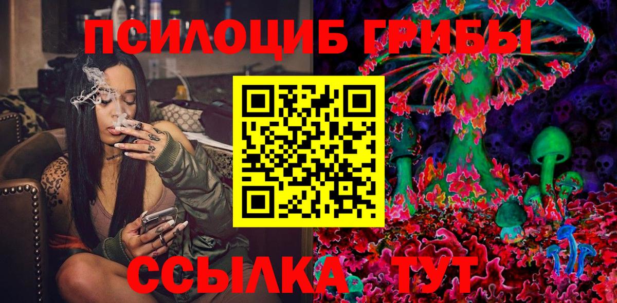 Псилоцибиновые грибы Psilocybine cubensis  закладки  Малгобек  Вход с VPN 